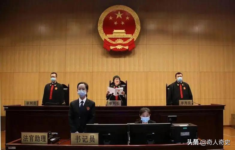 骂人会被刑拘吗,女子骂人9年后被判刑后续