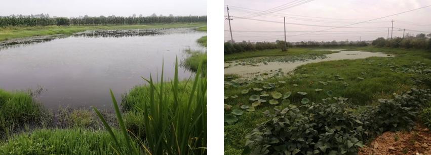 您对地名知多少（第四篇）