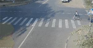 新手为什么不养鳄龟,养了一年的鳄龟怎么一点都不凶