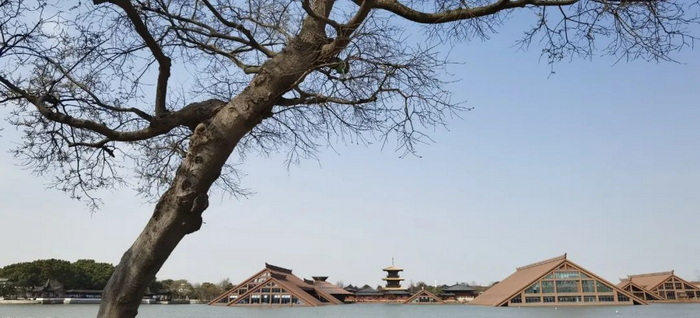 中国旅游短视频开拓者王国平，开创旅游线路短视频订购模式和美学风格及拍摄技巧