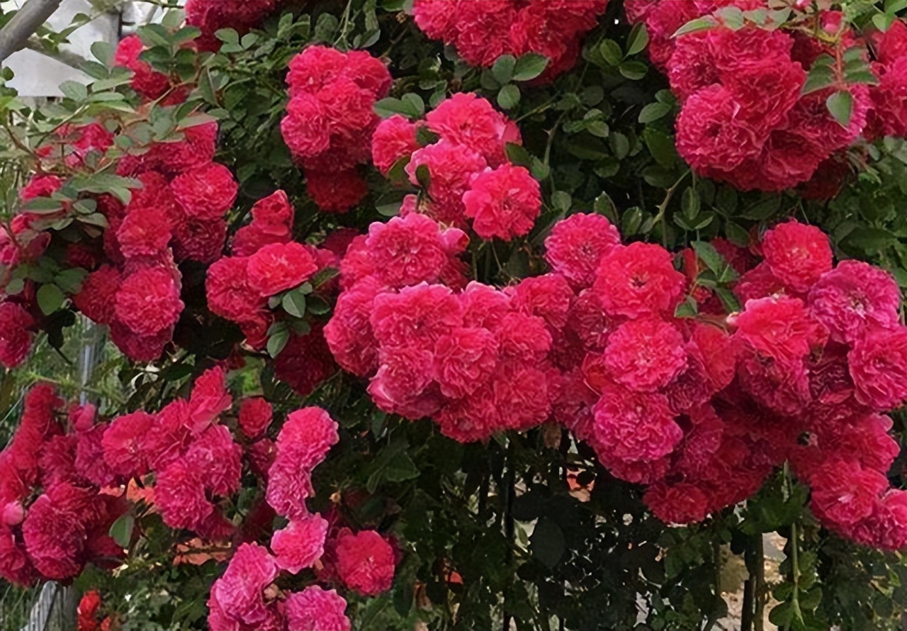 云南绝美十大仙境,云南发现真正的世外桃源