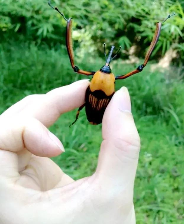 纪实农村通往城市的求学之路