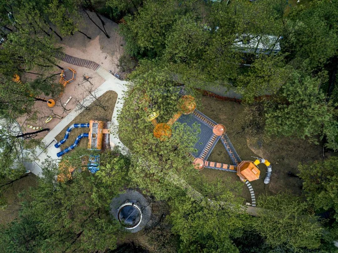 陈妙林直播,开元酒店集团董事长陈妙林