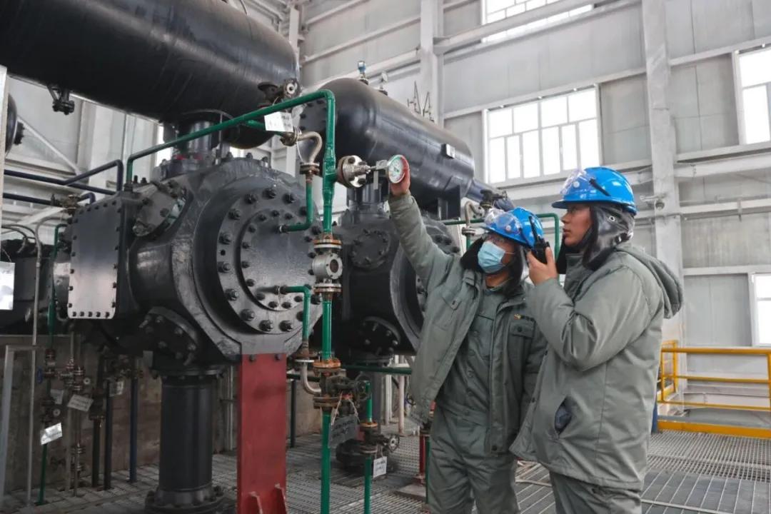 新能源业绩报2024,2023年新能源厂家的盈利