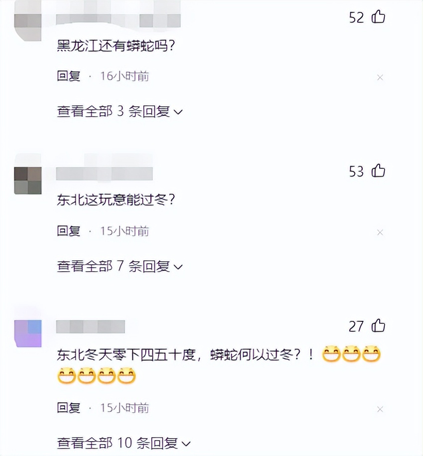 两百多斤巨蟒,街上最大的巨蟒有多可怕