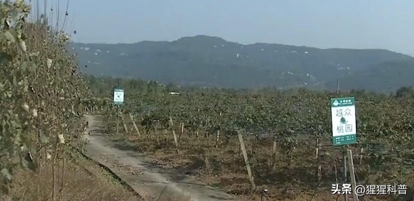 那些奇葩挣钱的项目,盘点奇葩副业