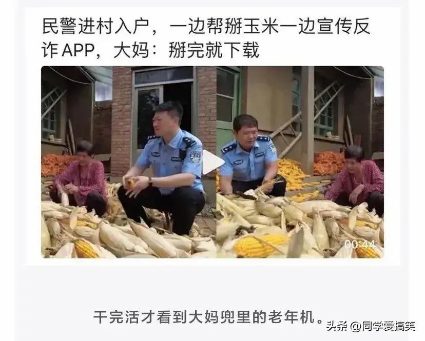 神回复：扔第一颗的时候，日本就是这么想的！神评把我笑死了