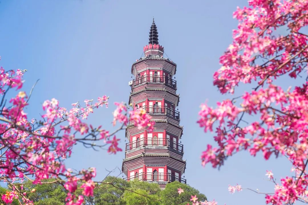 最惬意的时光的诗词,最闲情雅致的诗词