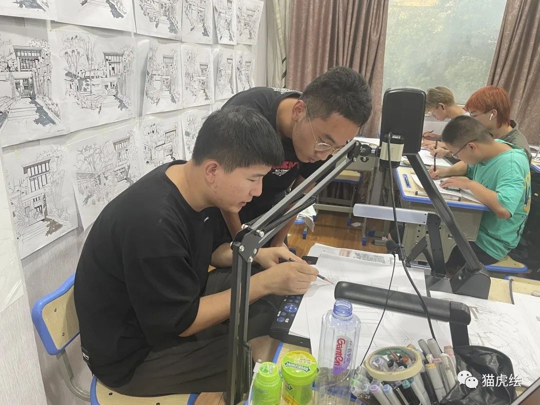 2022猫虎绘暑假手绘班招生简章「线上+线下」