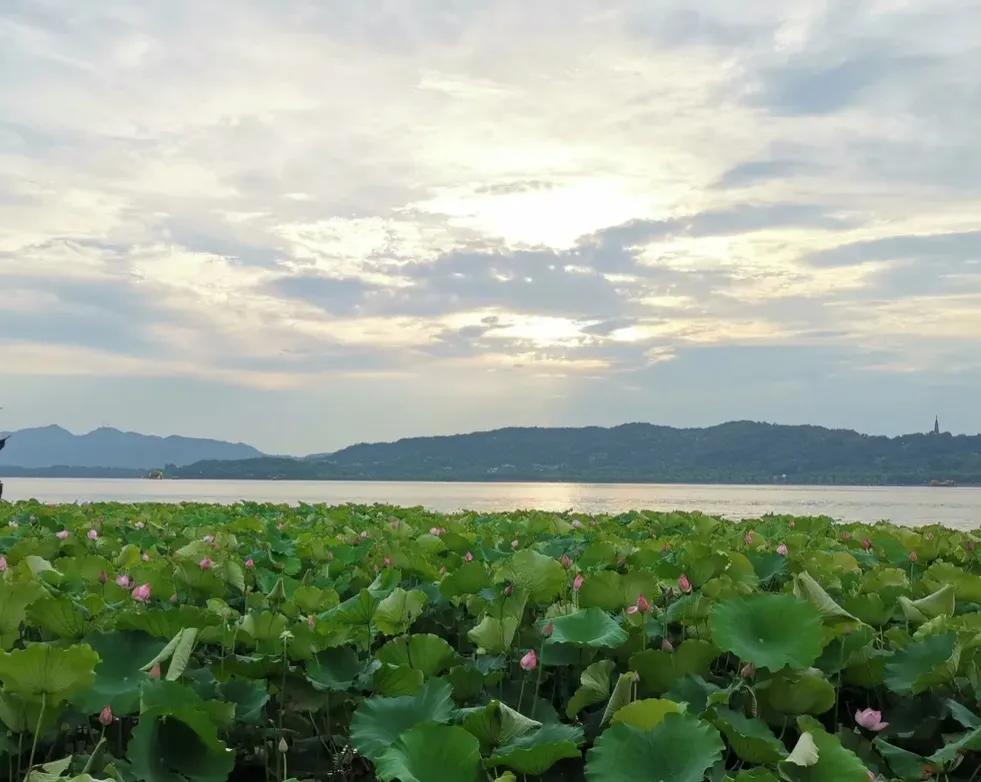 上山下乡五十周年礼赞,知青上山下乡五十周年盛会