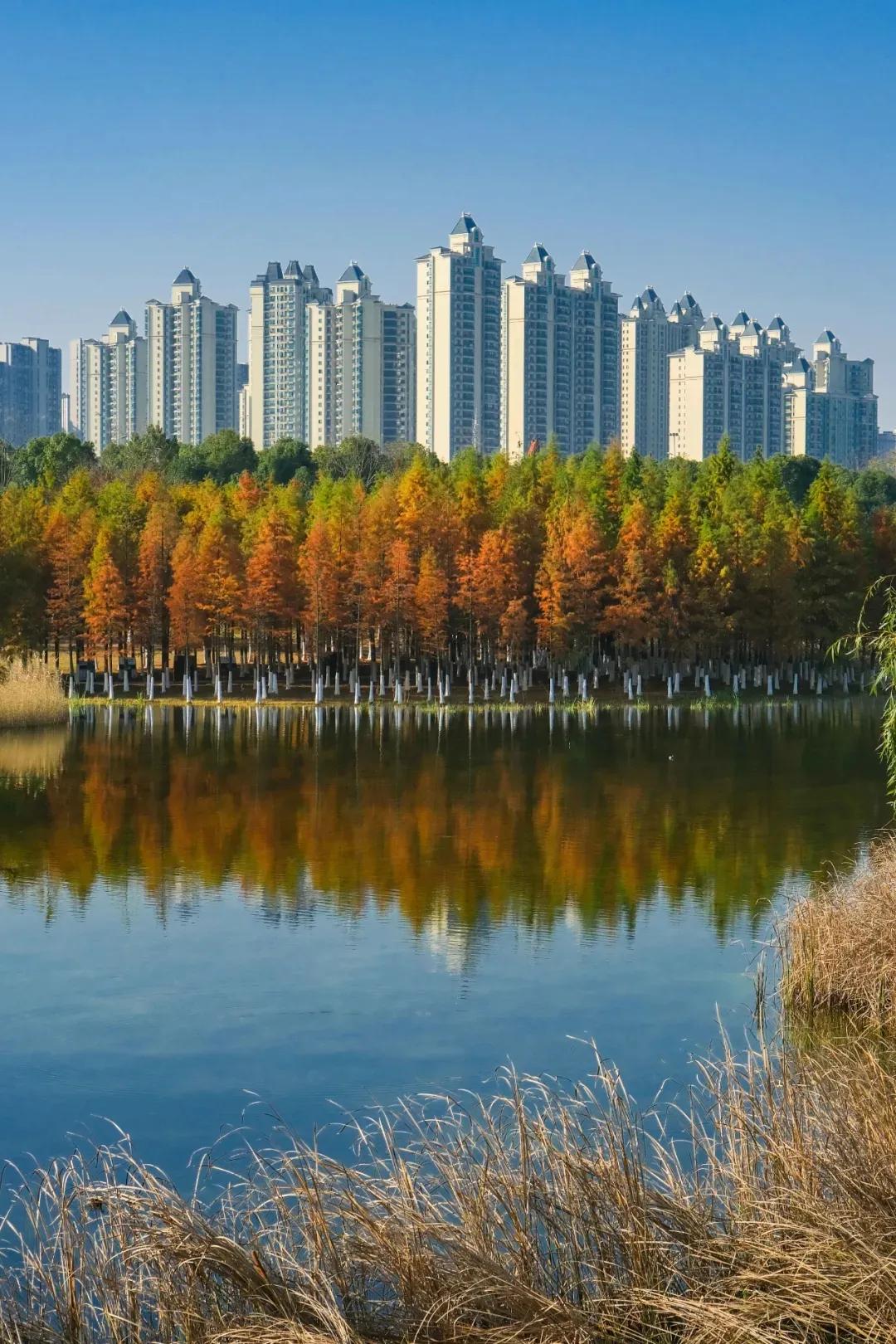 大美星沙,大美星沙松雅湖