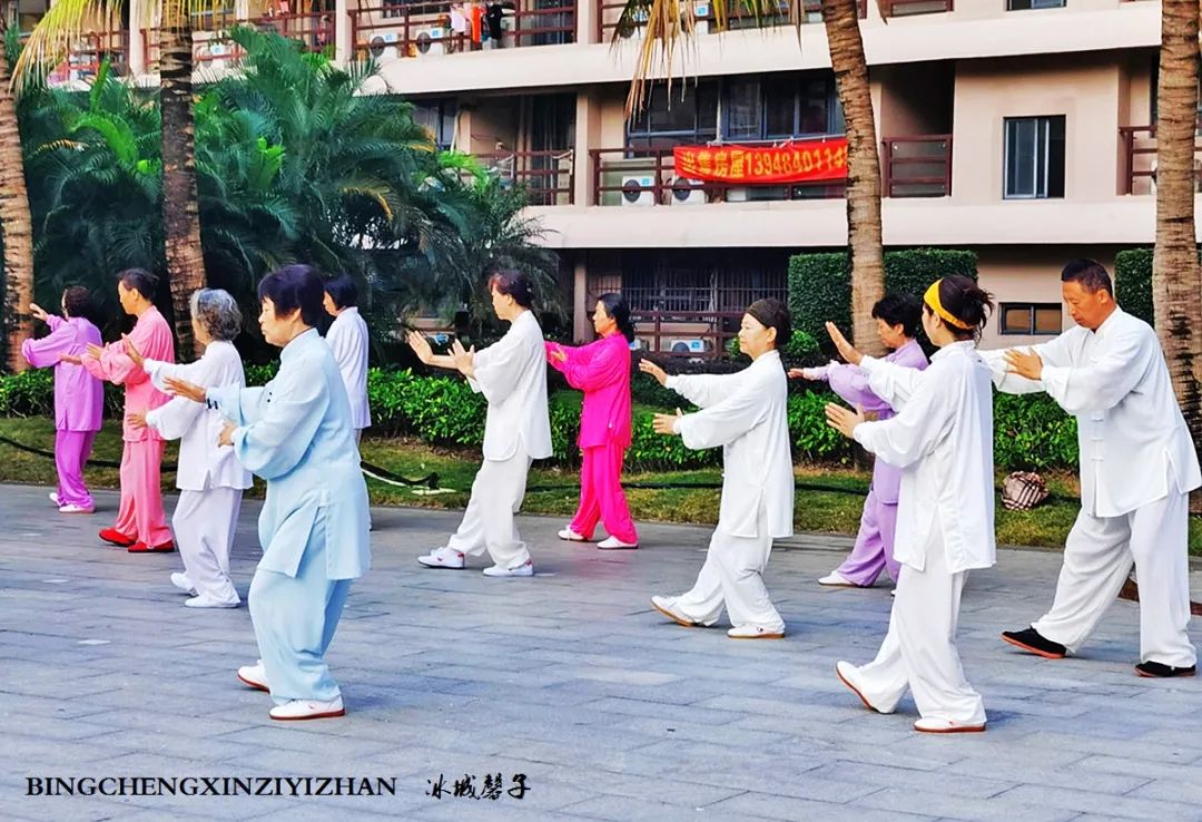 旅居海南：九所新区的浪漫情