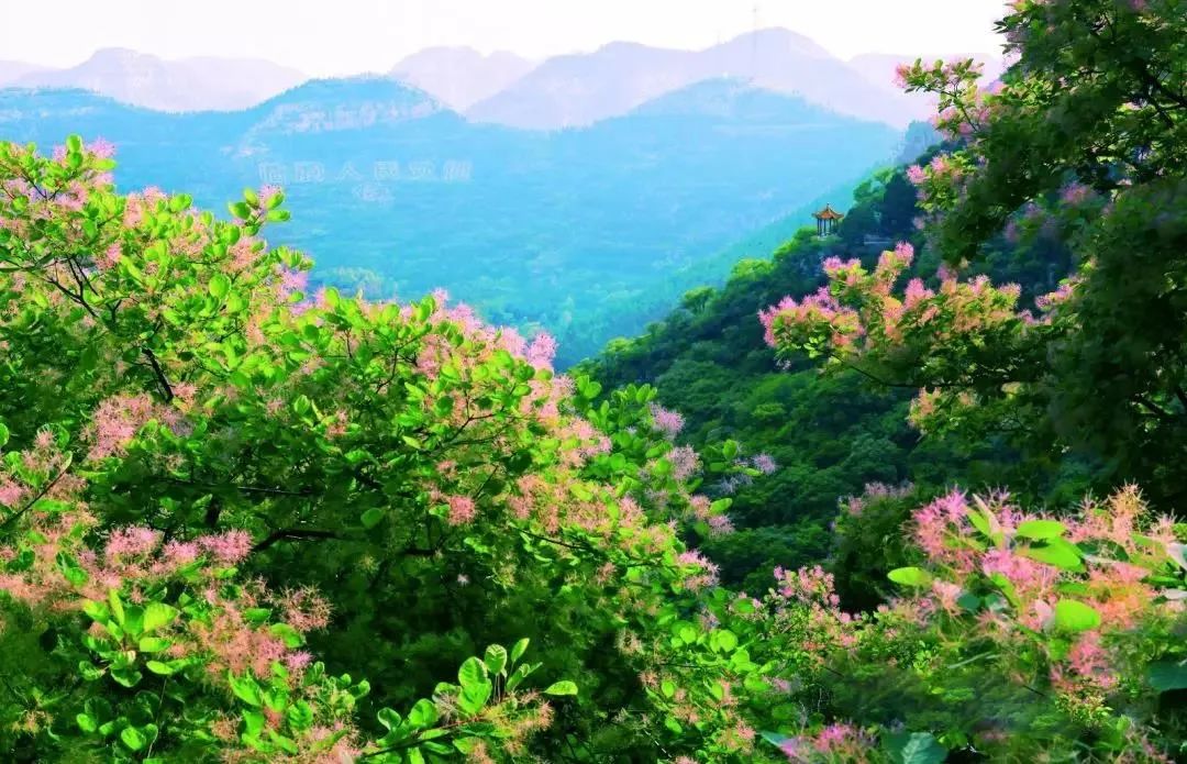 大美银滩邂逅夏日滨海的清凉,暑期最佳旅游线路8天左右