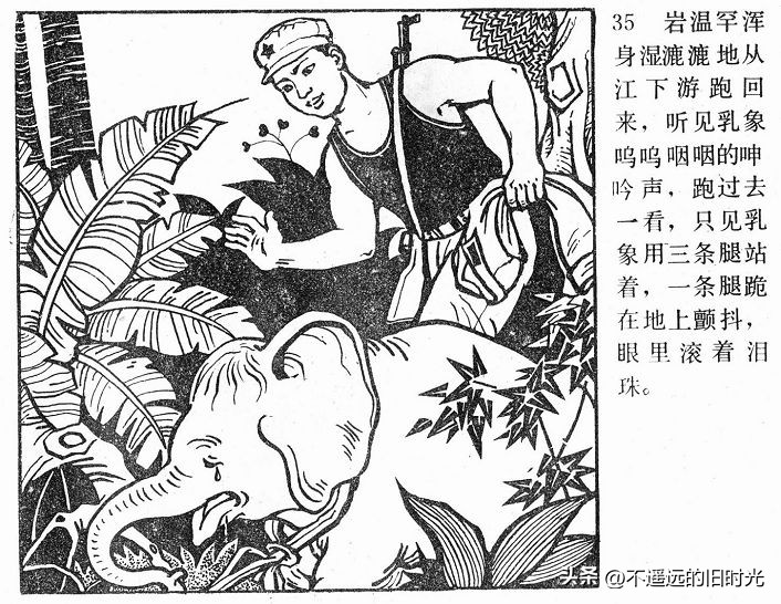 大象搬家,大象搬家河北