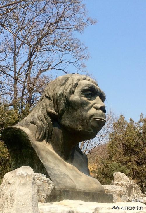 1945年日本沉船,中国打捞出日本沉船视频