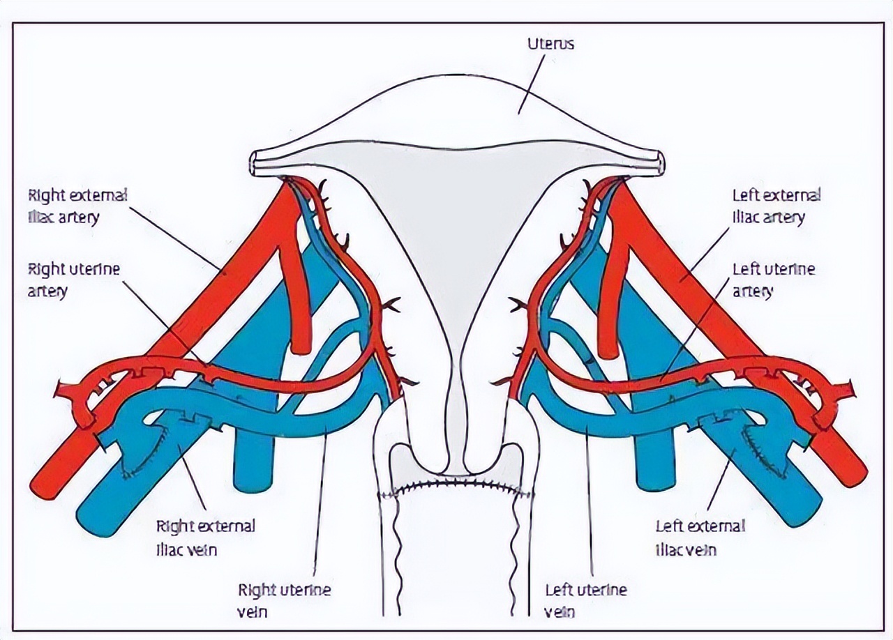 2015年，西安22岁女儿患绝症，43岁母亲舍命将子宫移植给女儿圆梦
