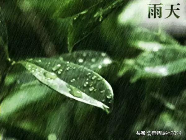 春雨绵绵诗歌,春雨现代诗歌