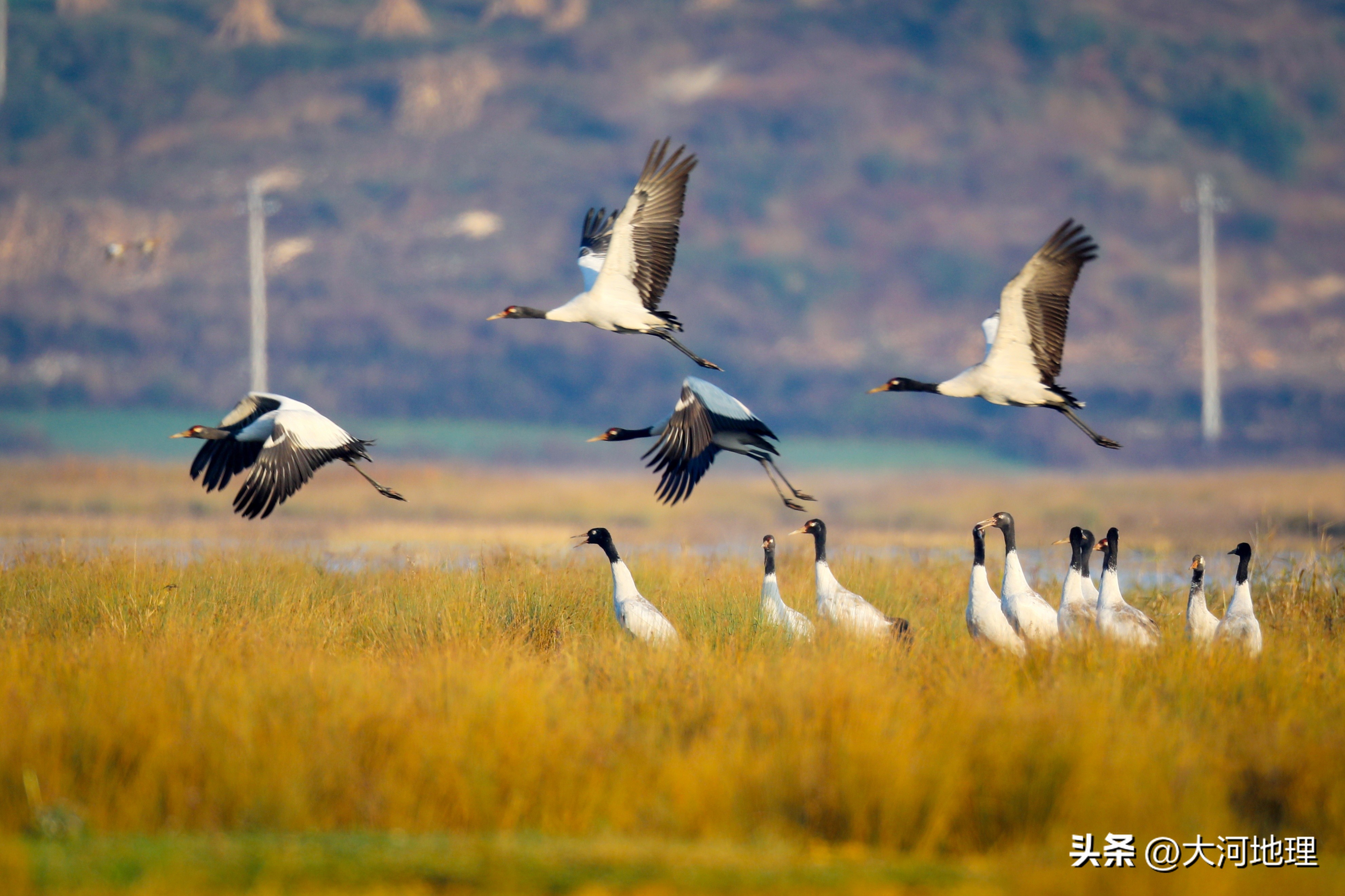 旅游攻略国内十大必去景点南方,中国南方著名景点
