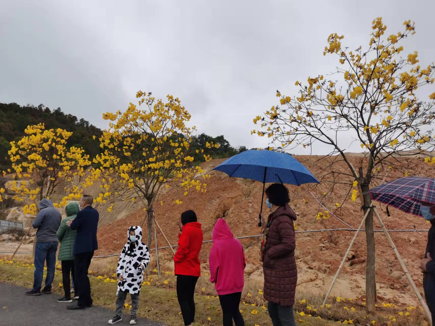 一场突如其来的绝症治好了,一场突如其来的疾病完整版