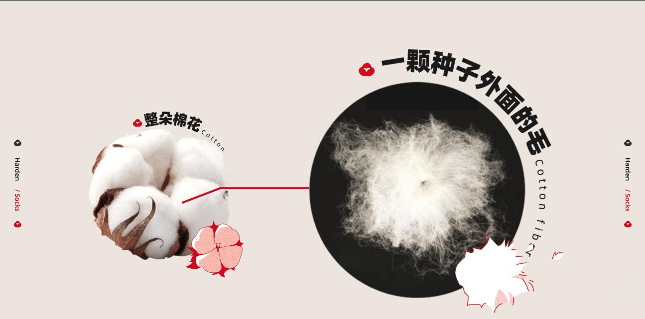 袜子洗了会变黄,袜子洗好晒干后变硬怎么办