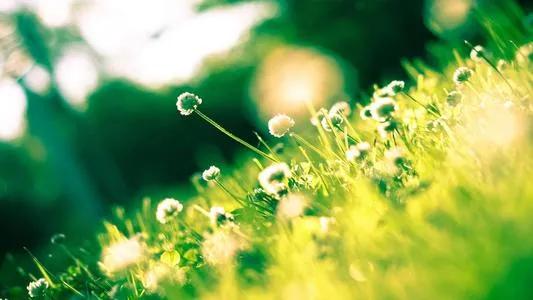 当爱情被欺骗了怎么办,当婚姻里出现了谎言和欺骗