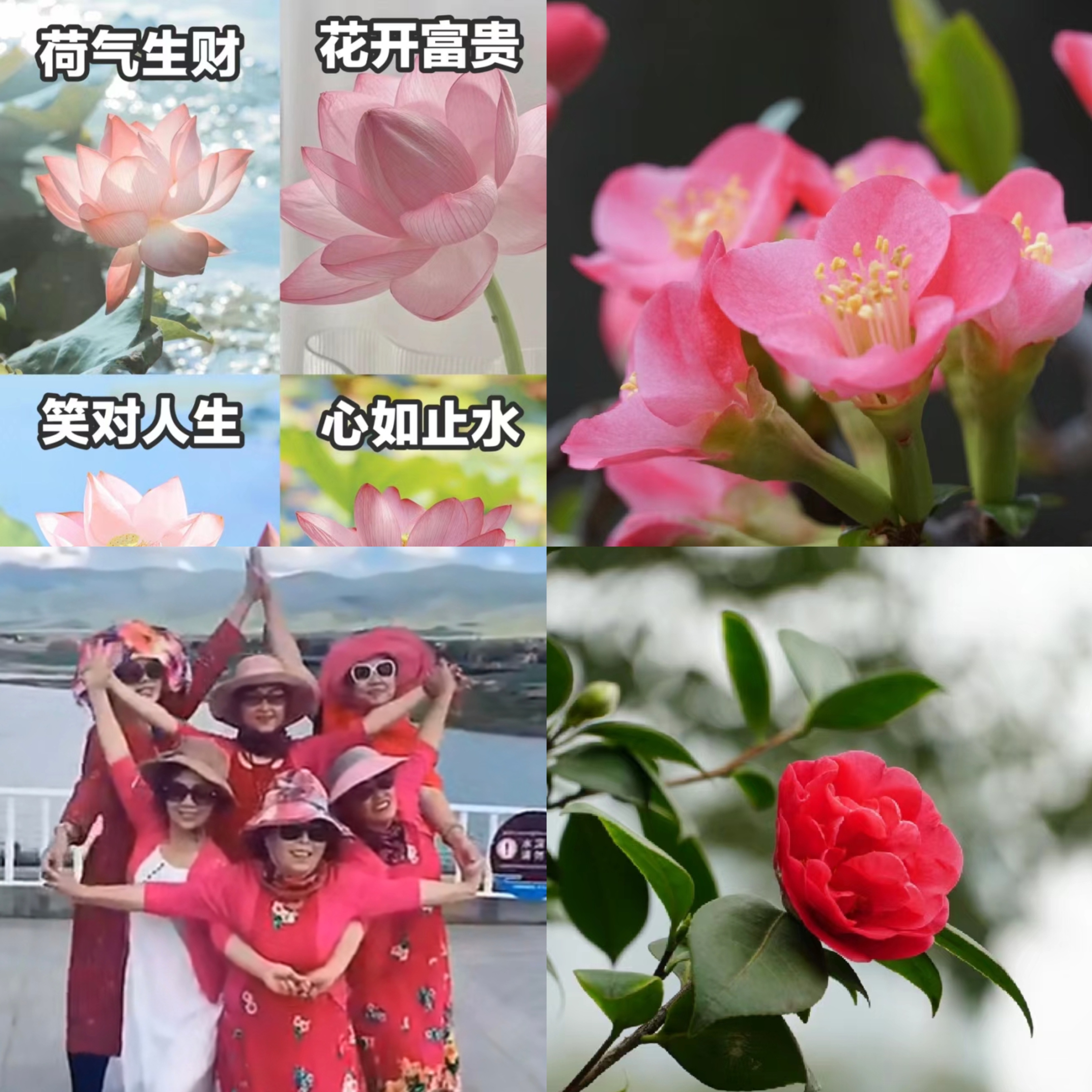 谨防电信诈骗的朋友圈照片,电信诈骗不骗微信卡通头像