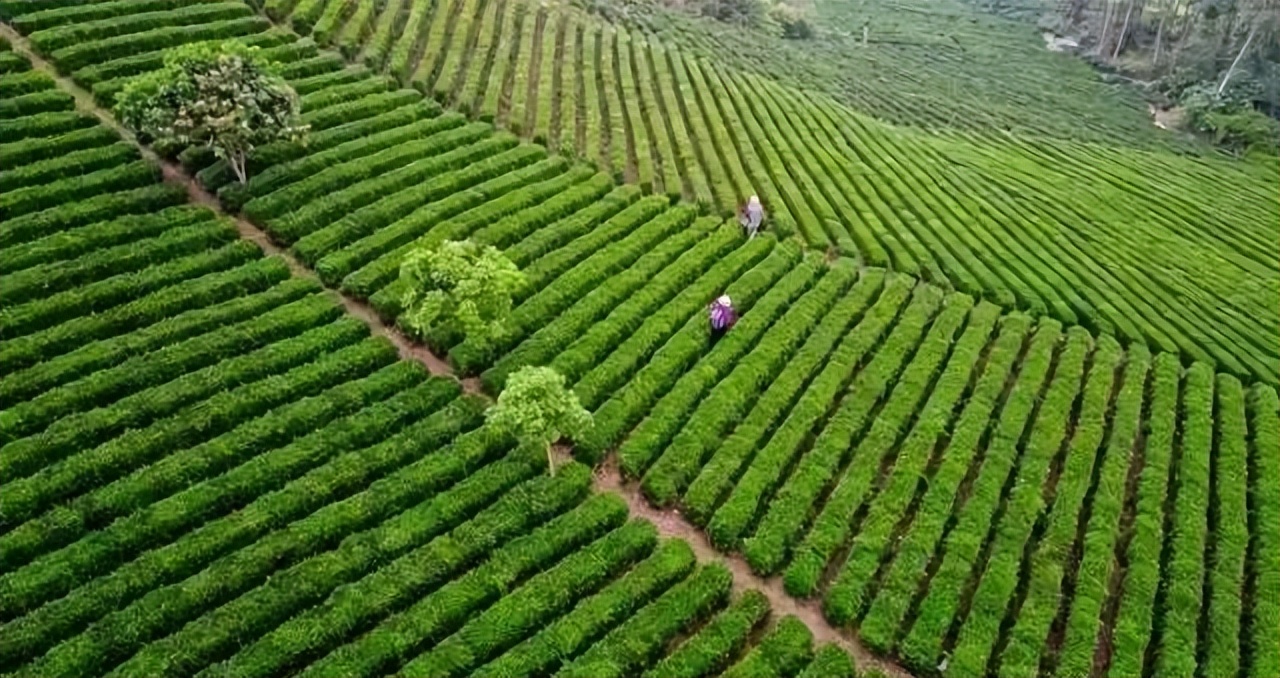 惠州柏塘罗浮山,惠州出发2天一夜旅游攻略图