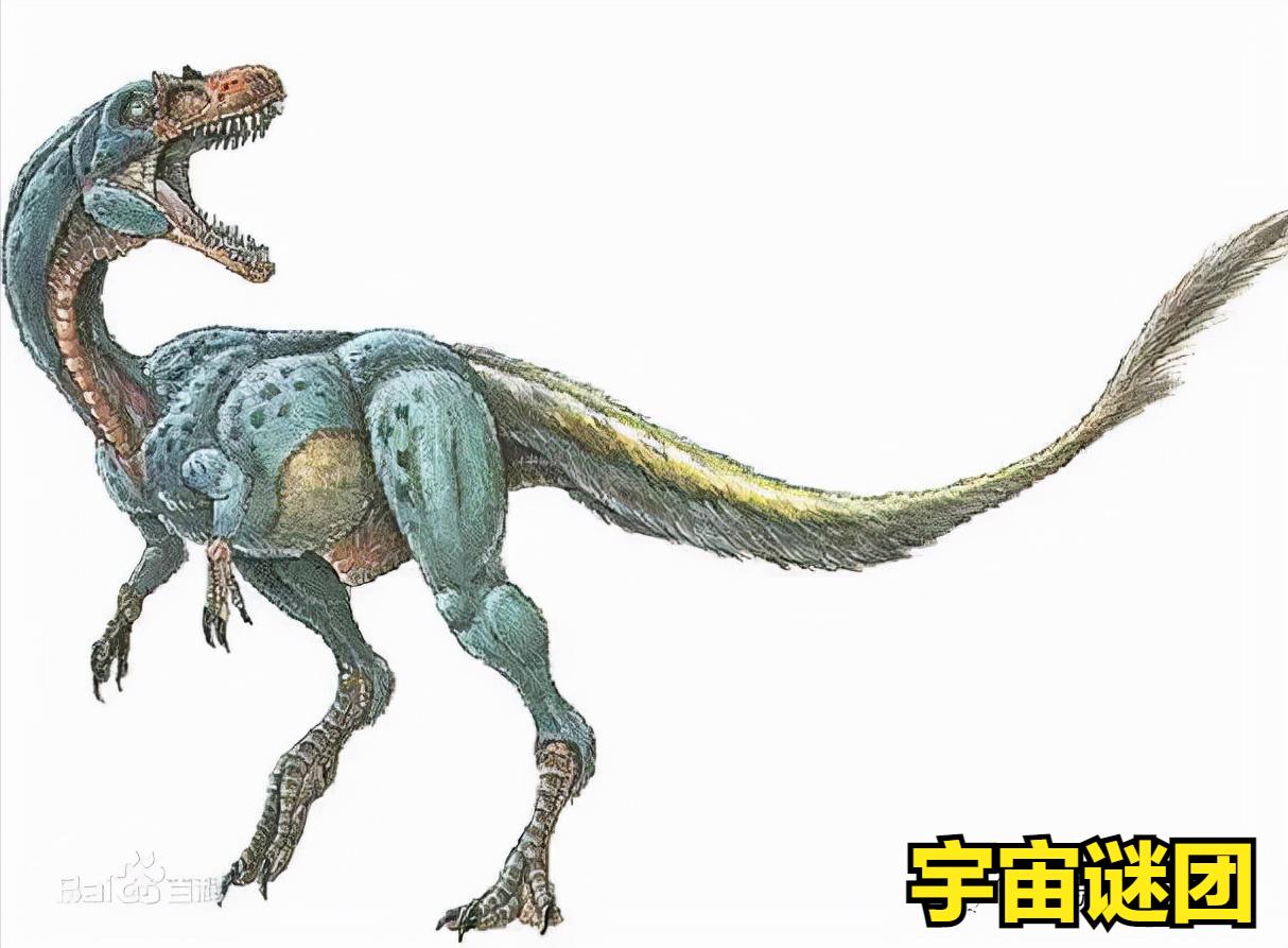 恐龙小百科认识更多的恐龙,恐龙大百科里有什么没见过的恐龙