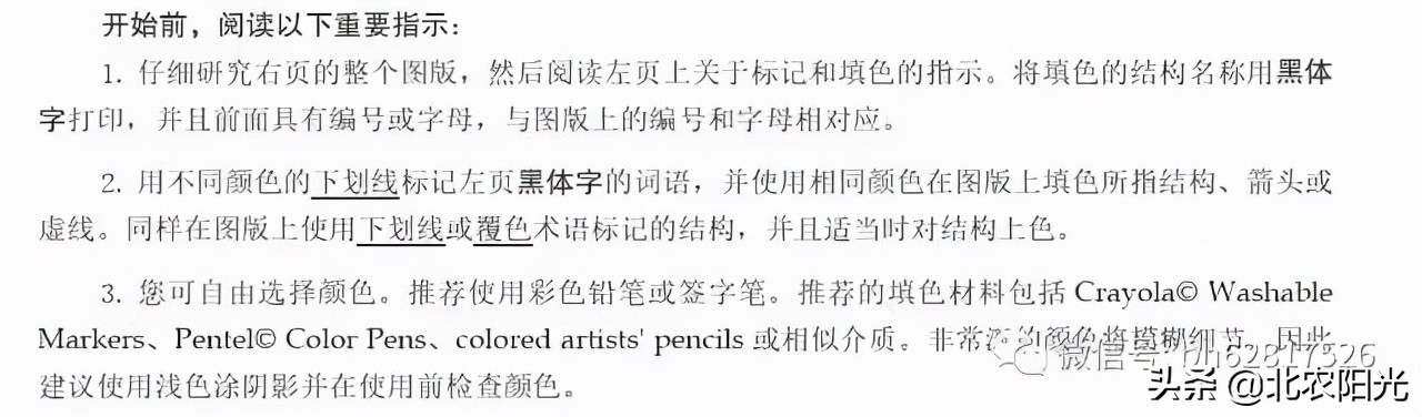 犬解剖图手绘,犬解剖生理3d图