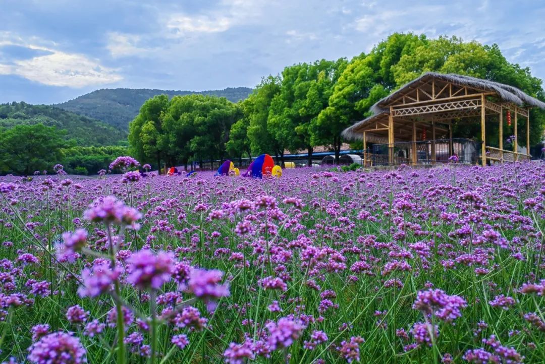 一证在手说走就走文案,开启说走就走的旅行安徽省