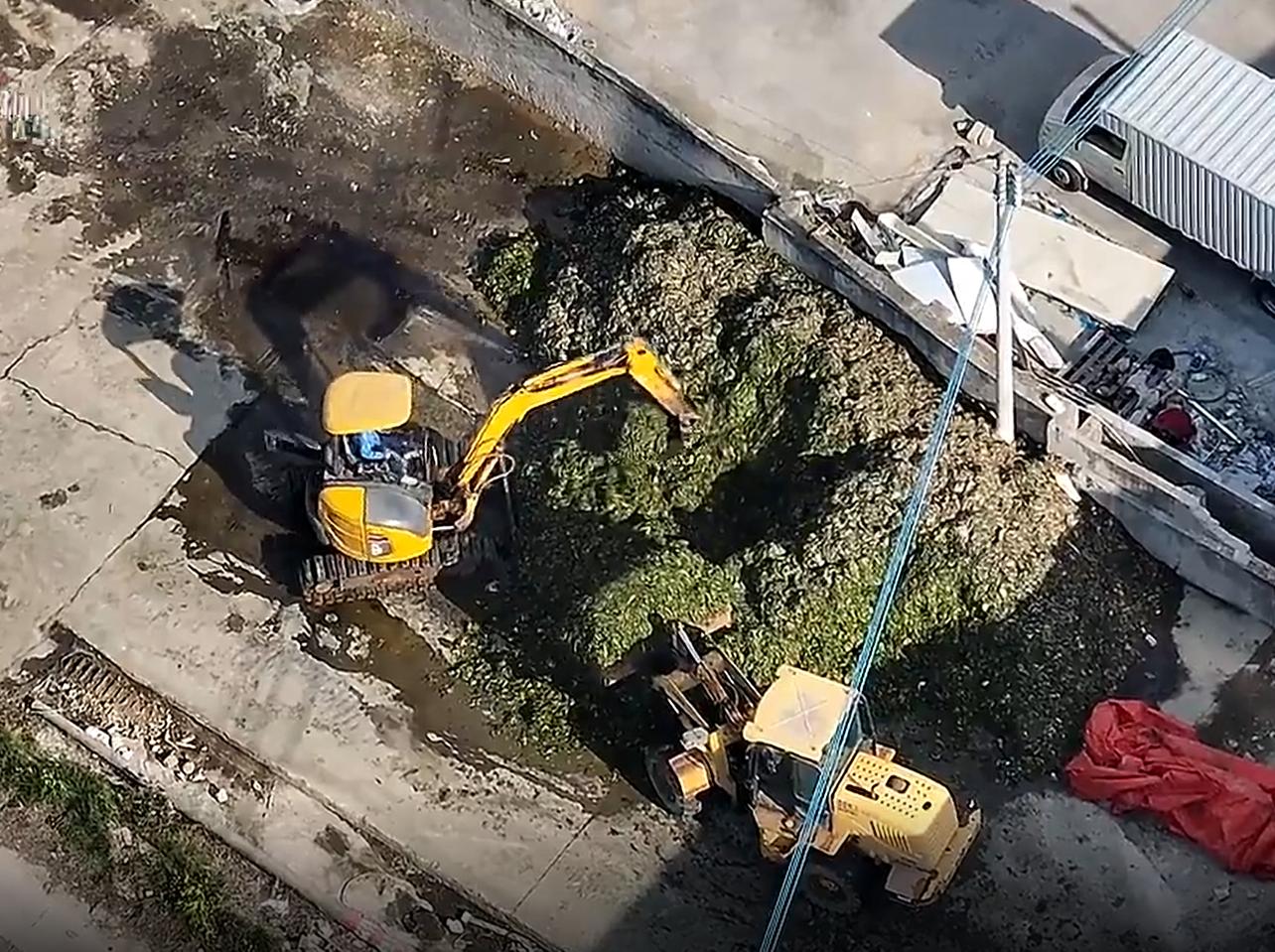 聚焦315消费者权益日橄榄菜案例,315曝光的橄榄菜是怎么回事