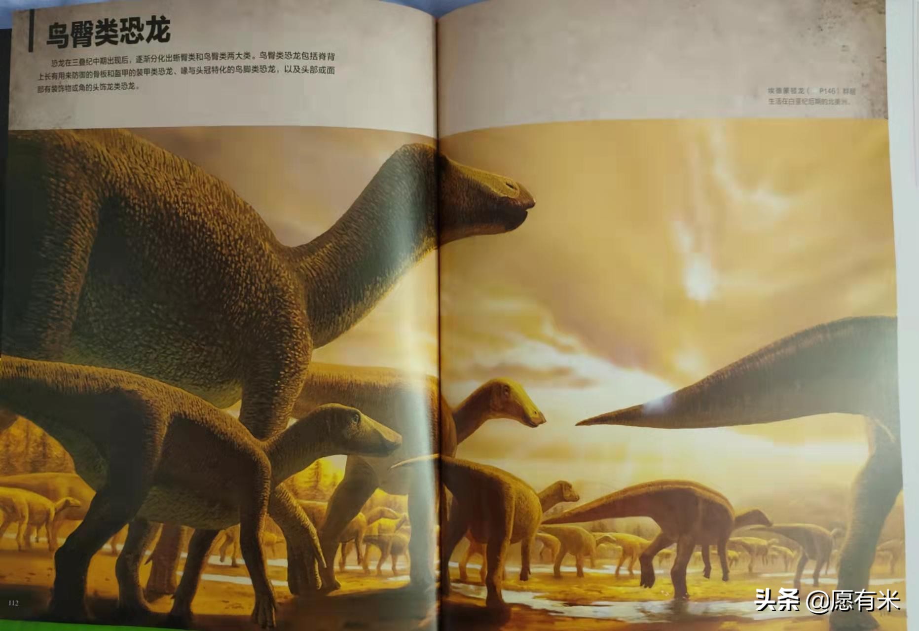 恐龙大百科之各种各样恐龙,恐龙世界最强大的恐龙的图片