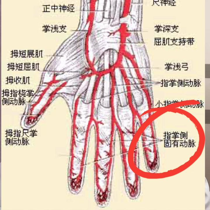 手指受伤的紧急处理,手指头外伤内感染处理办法
