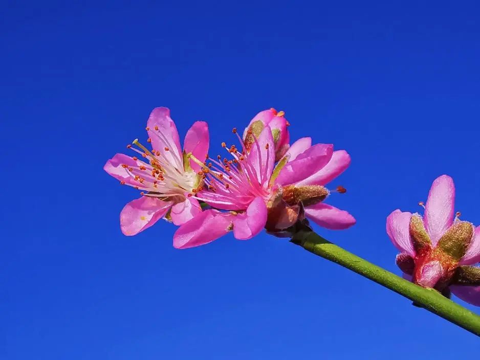 奥运冠军网红打卡地,奥运冠军之城有哪些