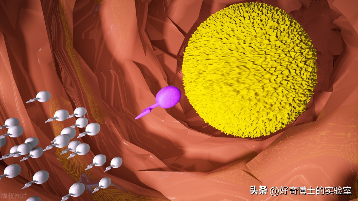 超市收银小票,收银小票有毒