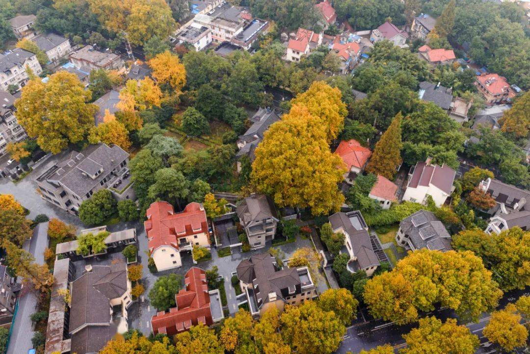 罗莱夏朵广州,罗莱夏朵中国酒店