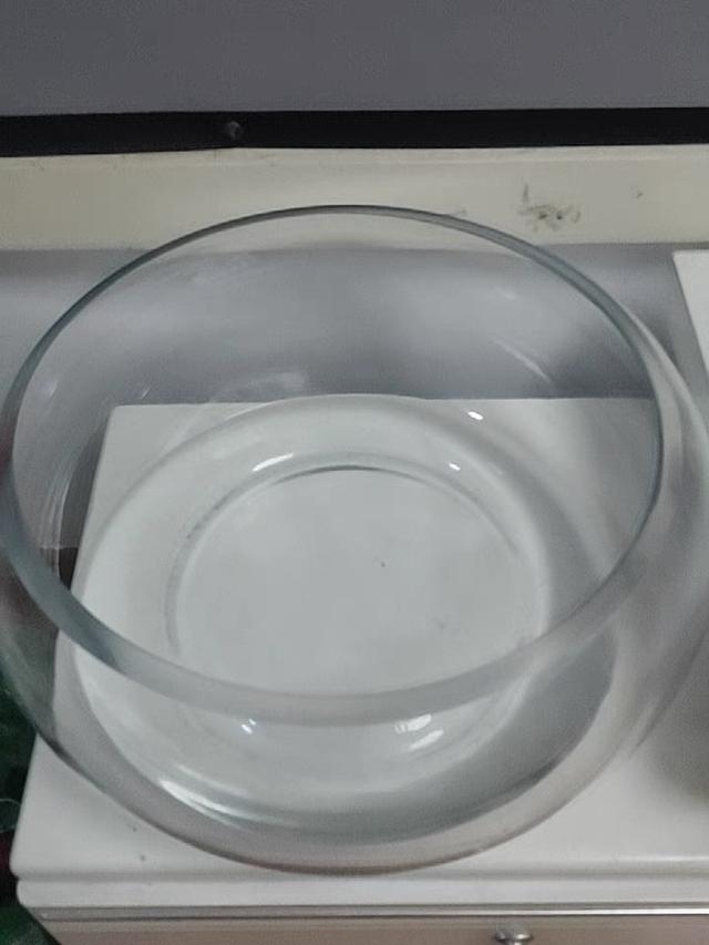 新手养兰寿金鱼饲养技巧,养好兰寿金鱼需要哪些东西