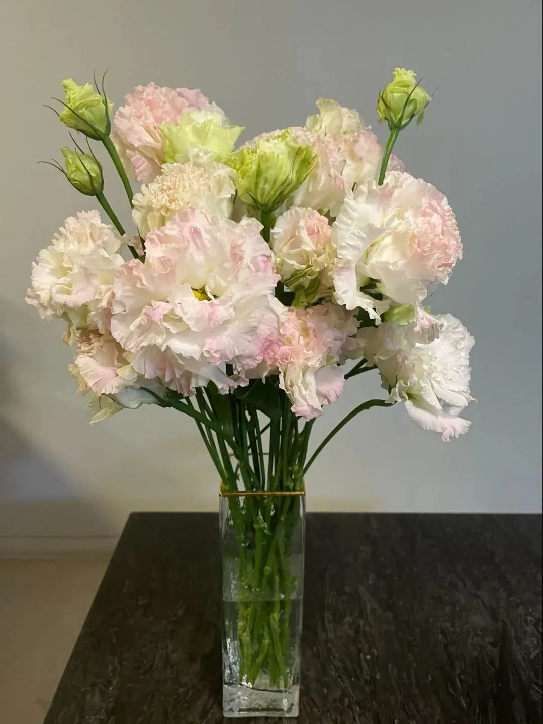 鲜花在水里能养几天会死,新加坡盆栽花卉怎么养