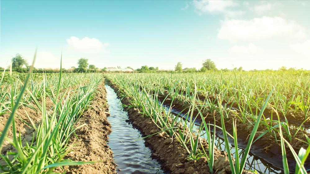 贝加尔湖淡水要流入中国吗,贝加尔湖流入北冰洋的水量