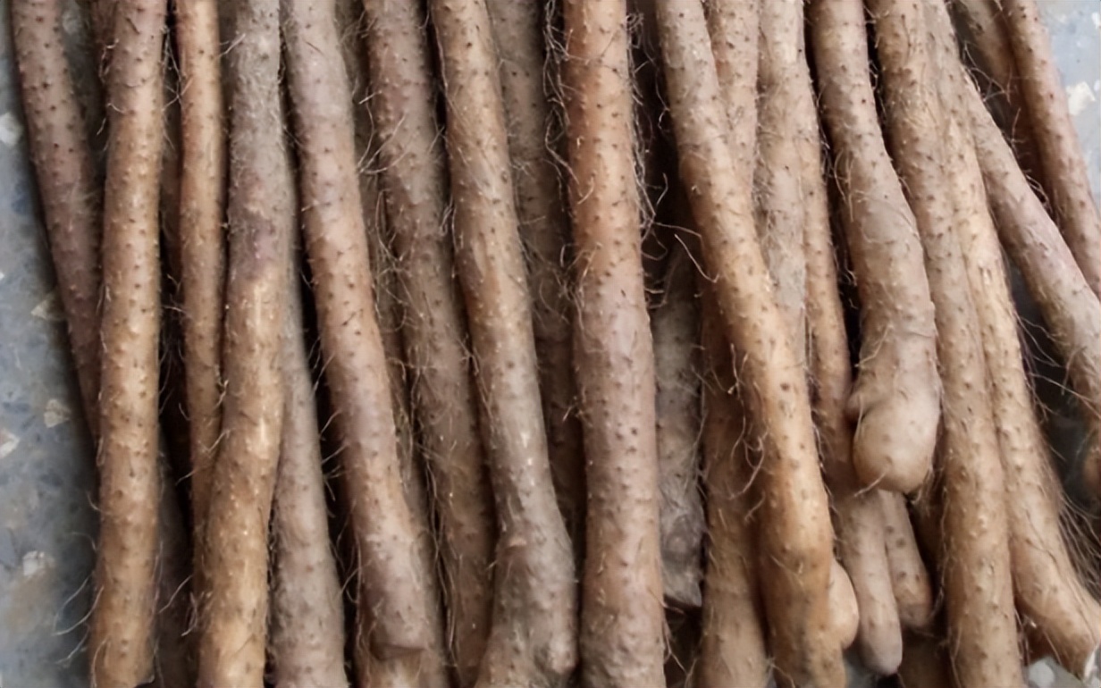 脾胃虚弱的老人可以吃山药吗,山药补脾肺肾阴虚吗