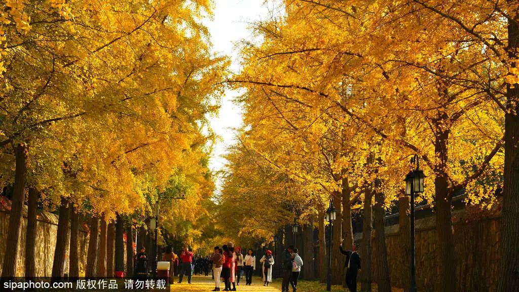 来北京必逛皇家园林,北京具有特色的皇家园林