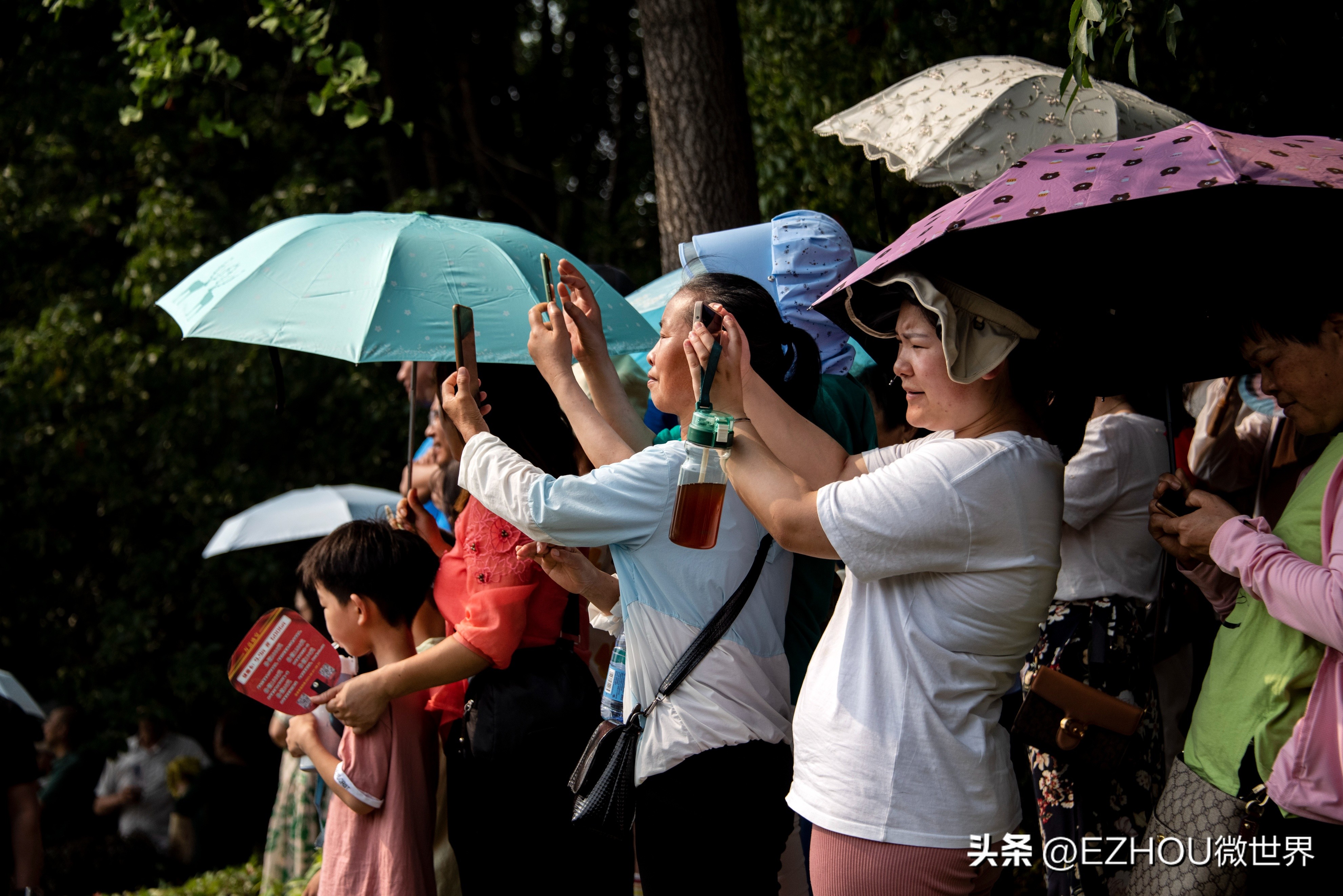 湖北省2024龙舟公开赛赛程,湖北省龙舟公开赛黄冈站武穴