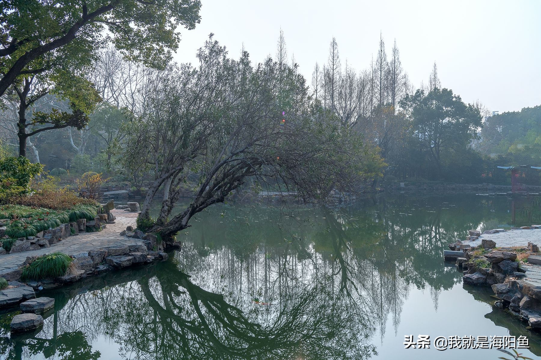 走去看看沿途的风景,去长风公园坐几号线