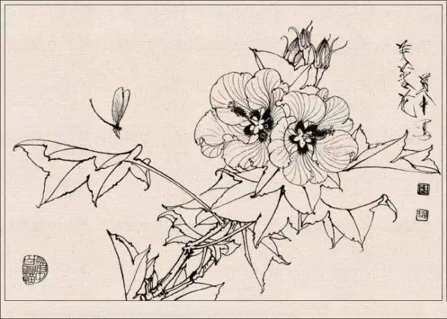 工笔草虫白描王道中,写意花鸟画草虫绘画过程分享