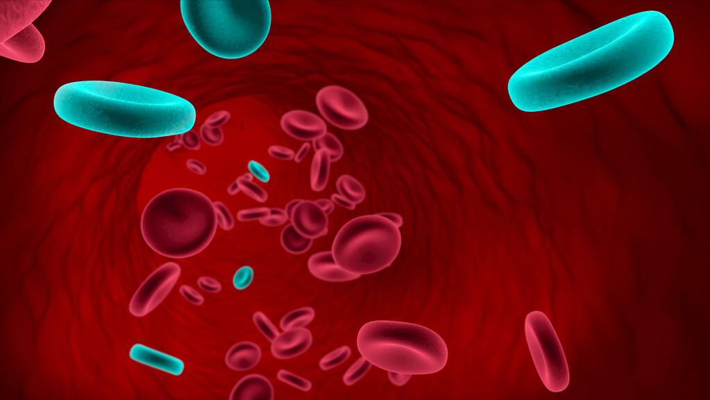 盘点十种神奇动物的价格,盘点五种有巨毒的生物