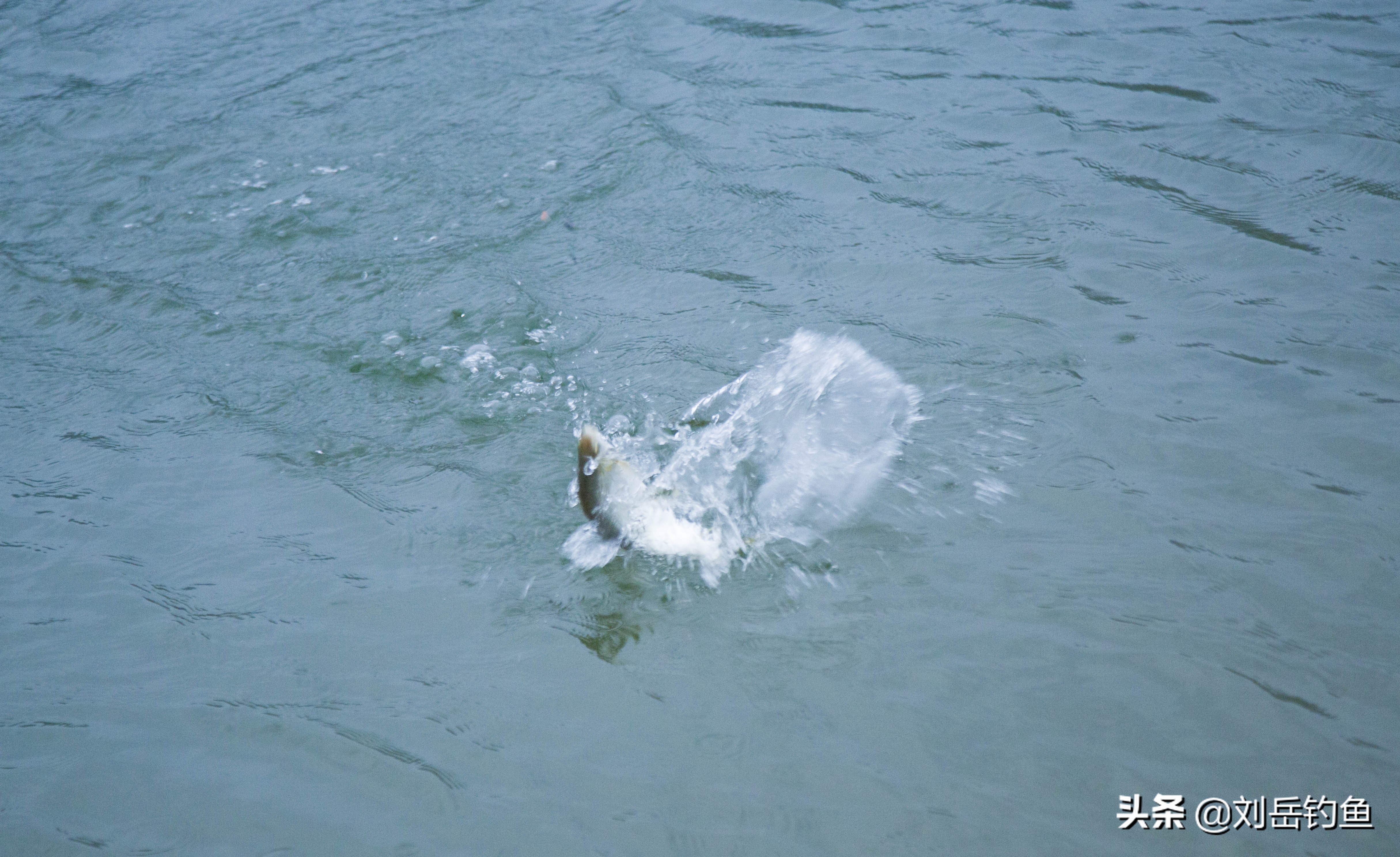 王者之战总决赛钓位,王者之战复赛钓位