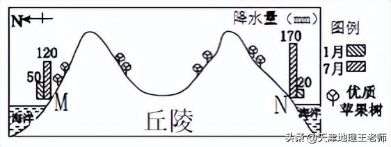 2020天津市十二校联考地理卷子,天津市2020-2021高二地理期末考试卷