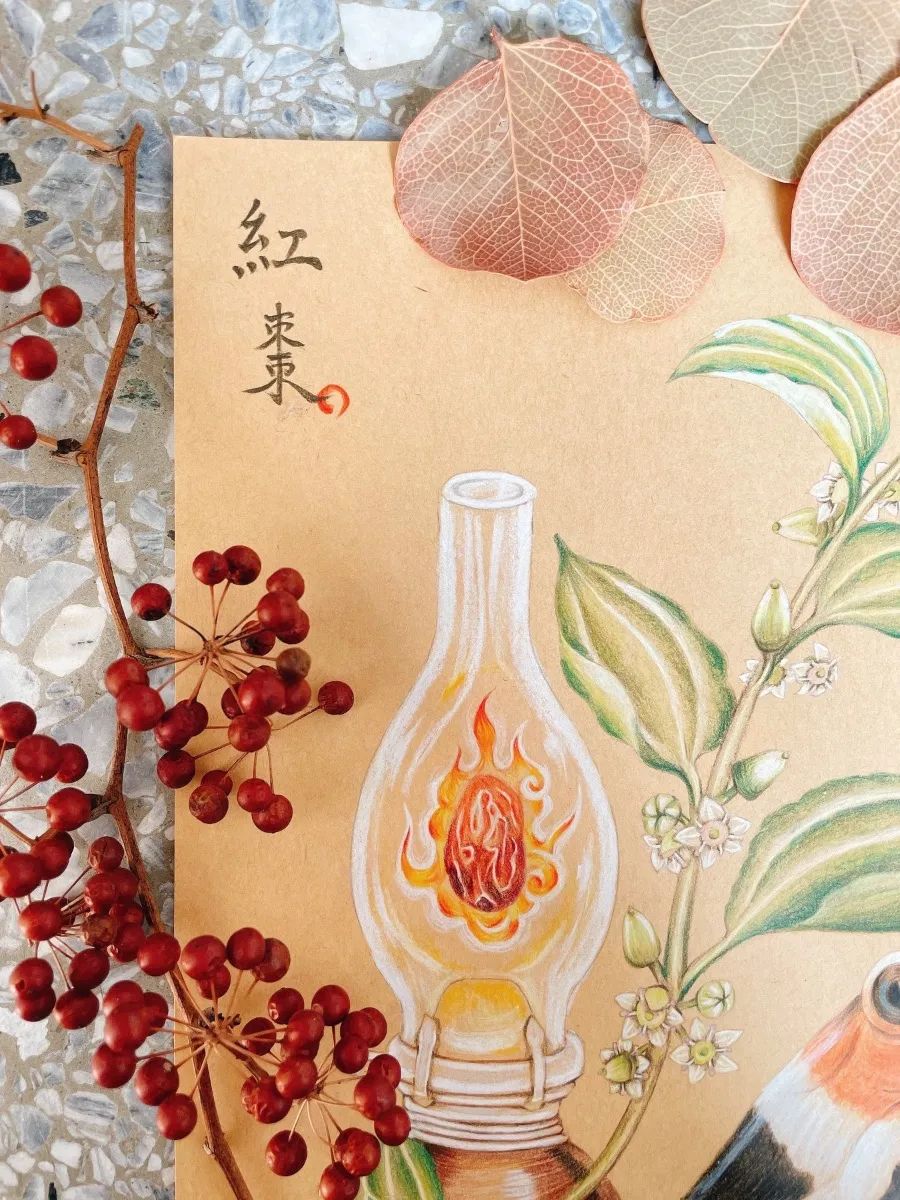 美翻了！在台湾中医师笔下，中药化为疗愈插画