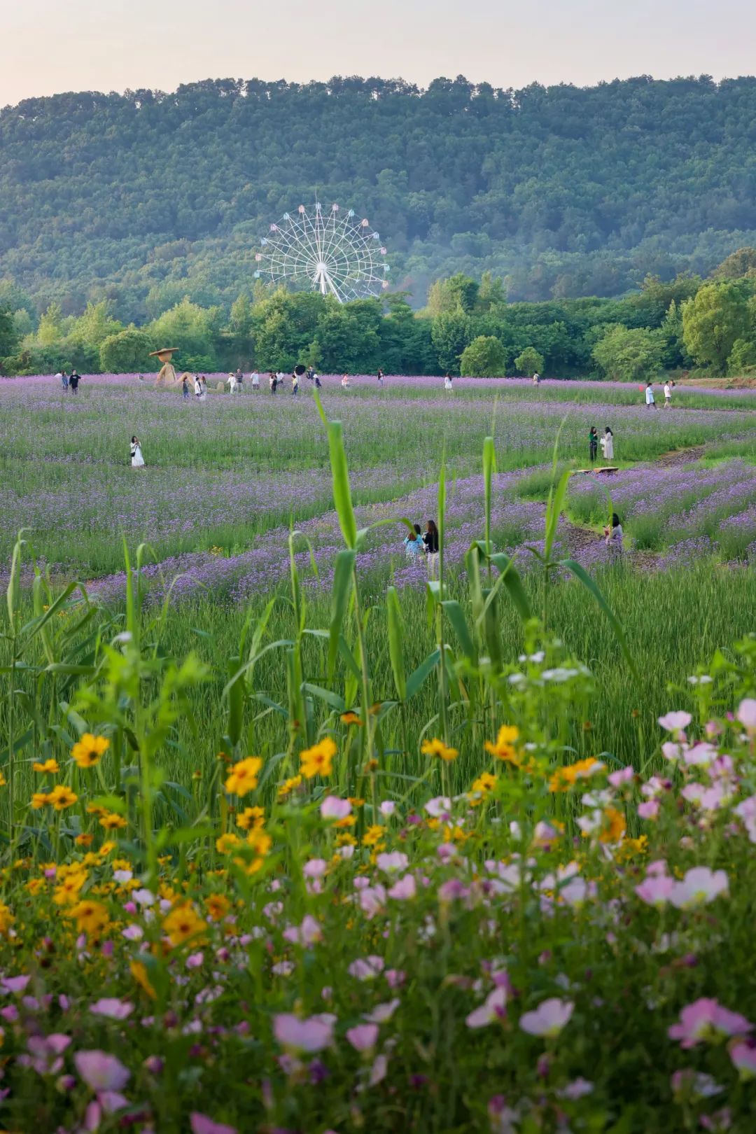 光谷适合干嘛,光谷有什么让人去的理由