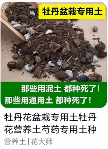 种菜推荐买哪个营养土好,种菜用什么牌子的营养土最好